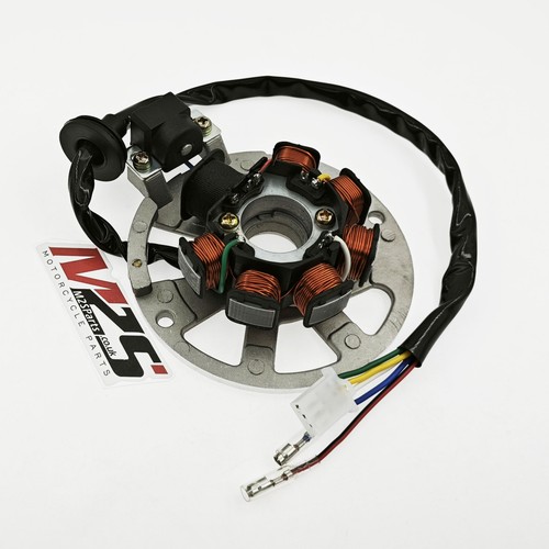Statore magneto per - statore,